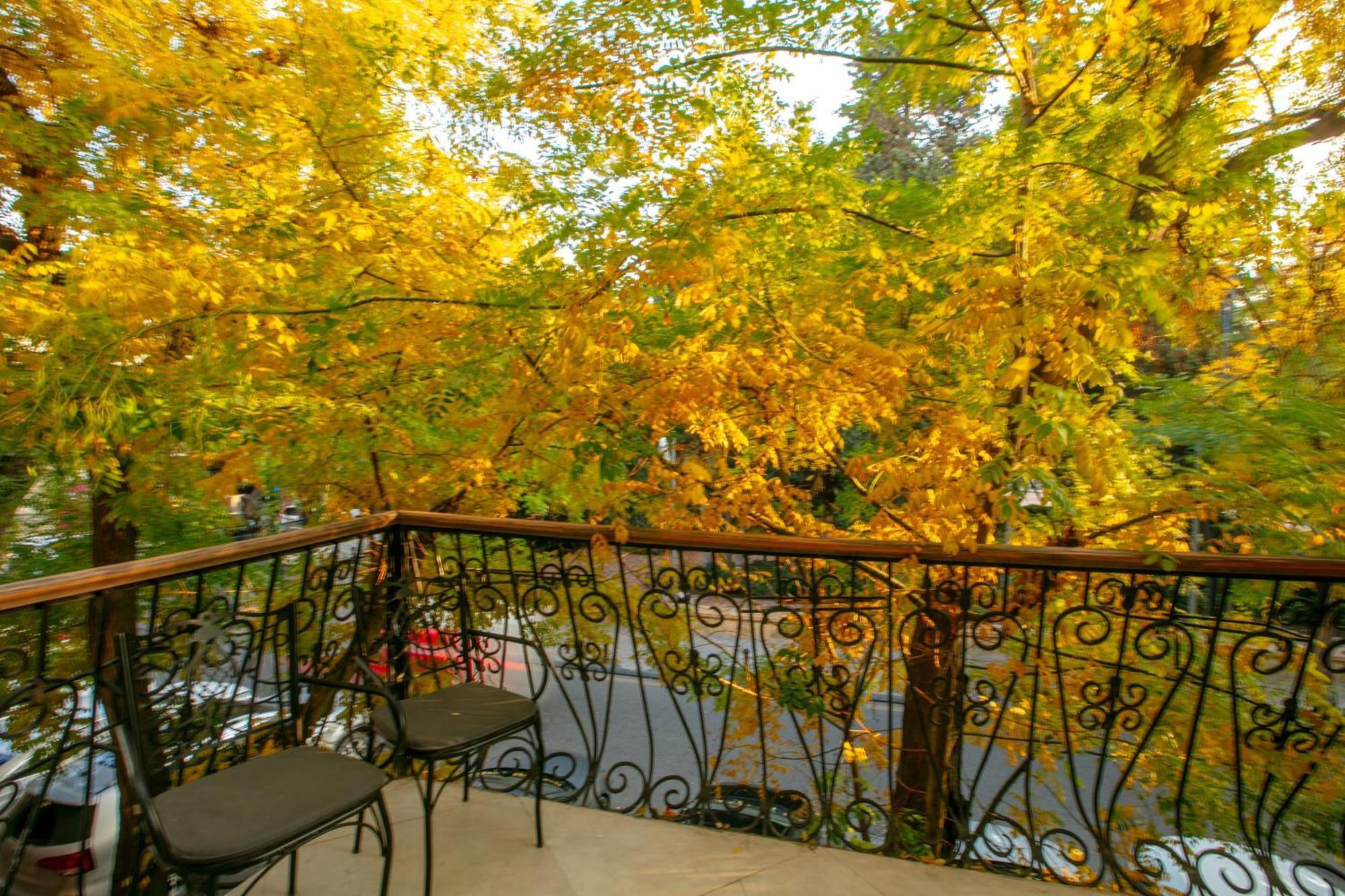 Theatrum Hotel Baku Exteriér fotografie Autumn in Aspen